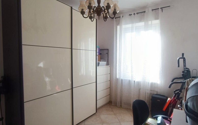 Agenzia Pegasus - 