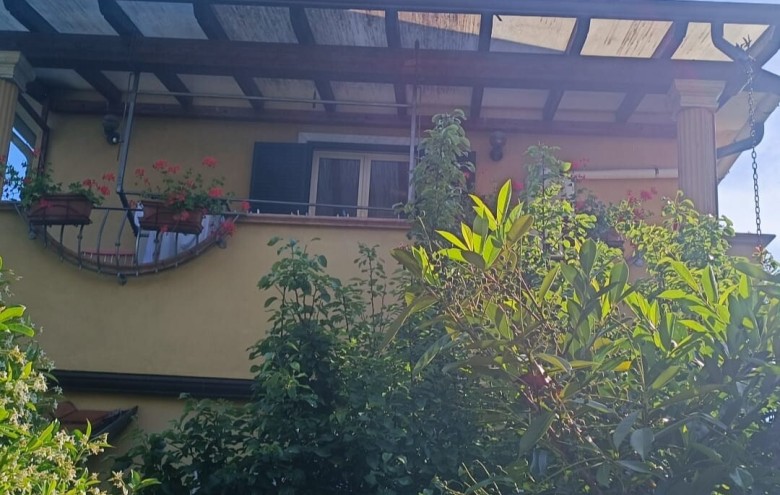 Agenzia Pegasus - 