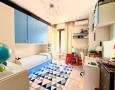 Pegasus - 