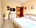 Pegasus - 