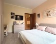 Pegasus - 