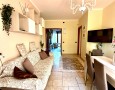 Pegasus - 