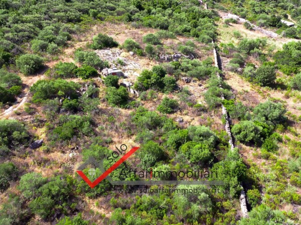 Riferimento TR141 - Terreno Agricolo in Vendita a Montelittu