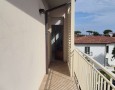 Pegasus - 