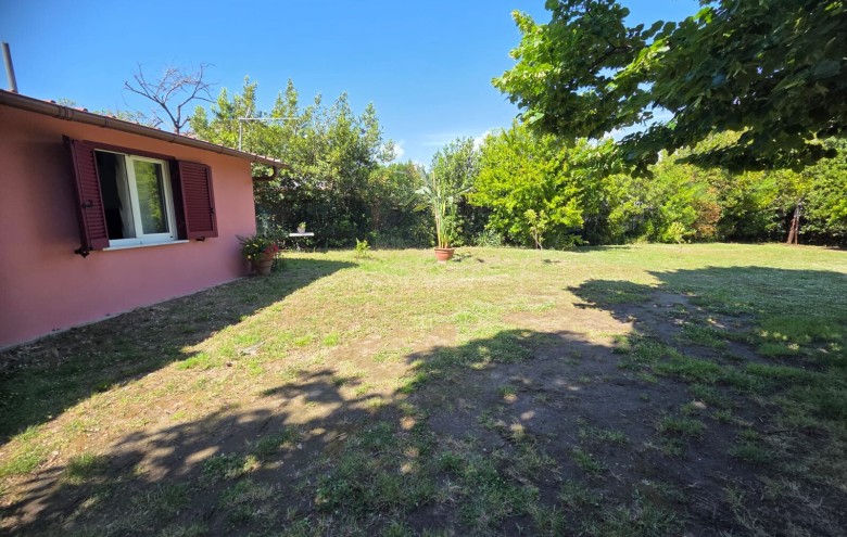 Agenzia Pegasus - 