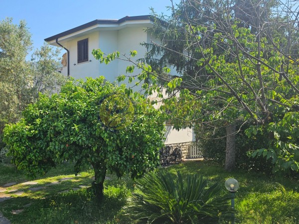 Riferimento PIEVI136 - Villa Singola in Vendita a Pietrasanta