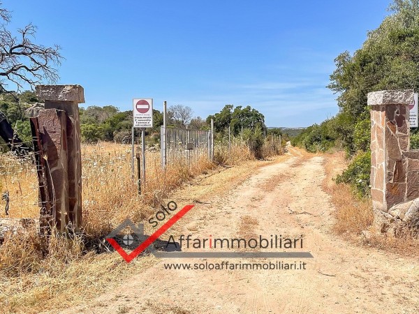 Riferimento TR142 - Terreno Agricolo in Vendita a Telti