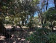 Giansereni Case - 