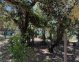 Giansereni Case - 