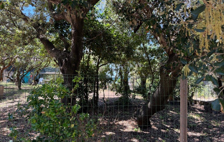 Agenzia Giansereni - 