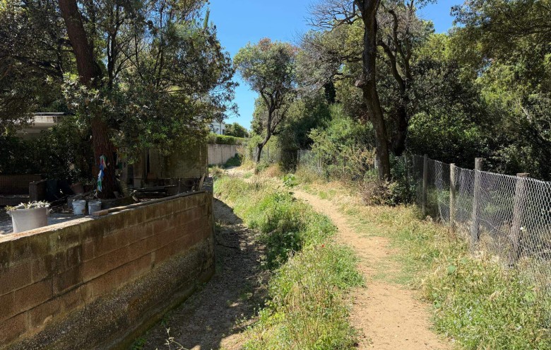 Agenzia Giansereni - 