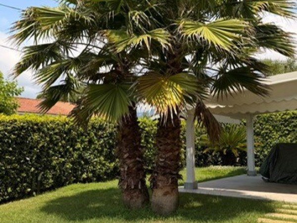Riferimento SA013 - villa in Rental in Pietrasanta - Marina Di Pietrasanta