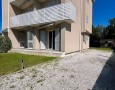 Pegasus - 