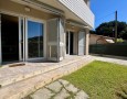 Pegasus - 