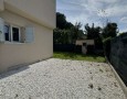 Pegasus - 