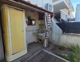 Pegasus - 