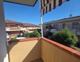 Pegasus - 
