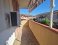 Pegasus - 
