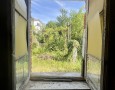 Pegasus - 