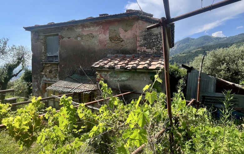 Agenzia Pegasus -