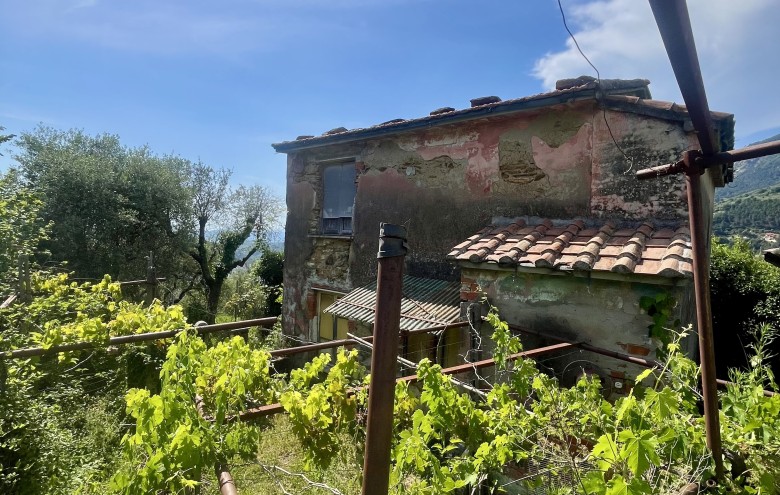 Agenzia Pegasus -