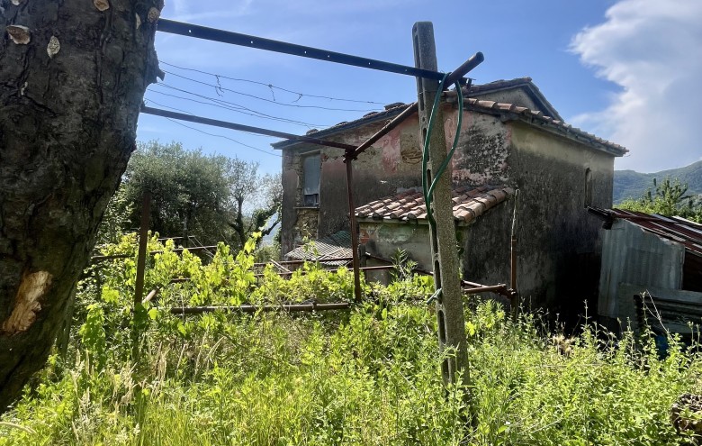 Agenzia Pegasus -