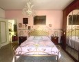 Pegasus - 