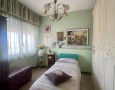 Pegasus - 