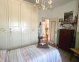 Pegasus - 