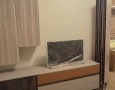 Pegasus - 