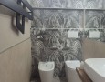 Pegasus - 