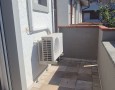 Pegasus - 