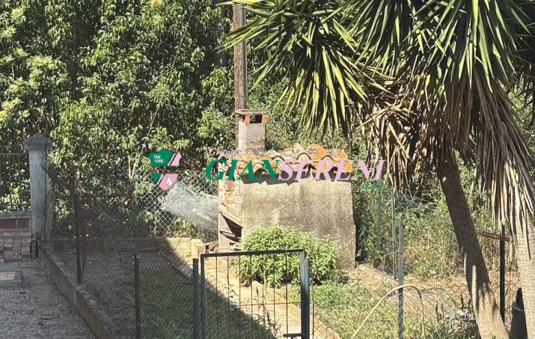 Agenzia Giansereni - 