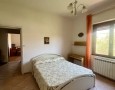 Pegasus - 