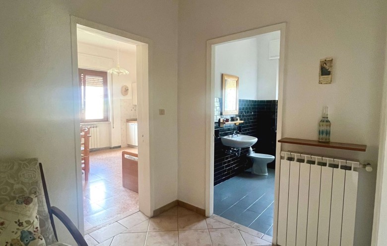 Agenzia Pegasus - 