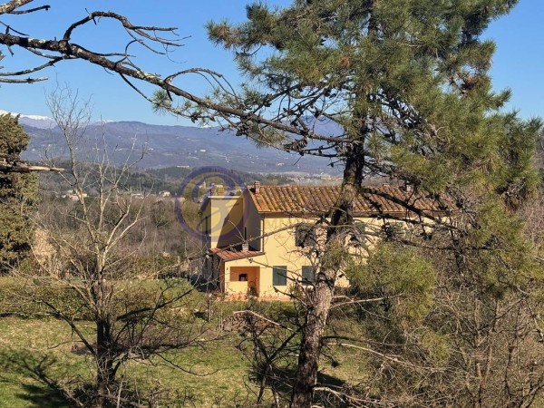 Riferimento LUVIEL205 - Villa Singola in Vendita a Lucca