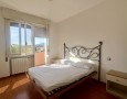 Pegasus - 