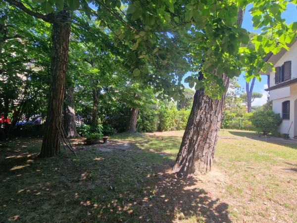 Ampia Villa Con Giardino