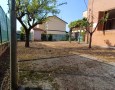 Pegasus - 