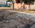 Pegasus - 