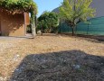 Pegasus - 