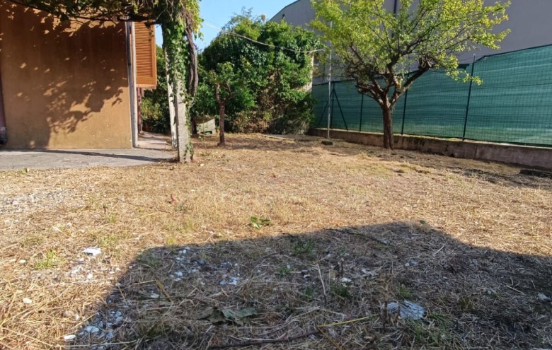 Agenzia Pegasus -