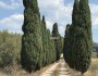 Tra il mare di san vincenzo e 