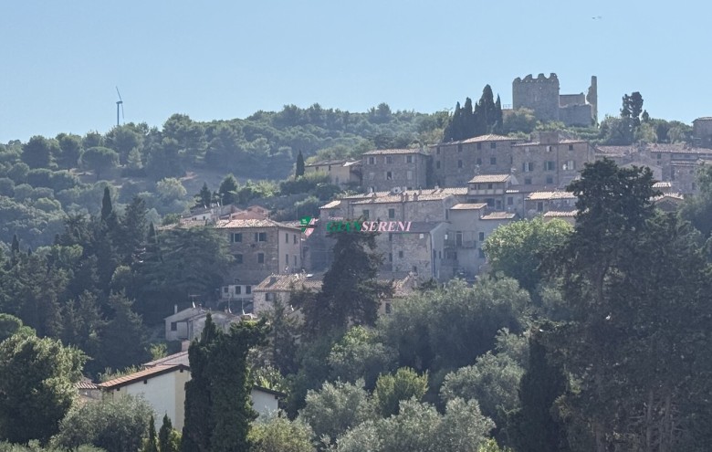 Agenzia Giansereni - 