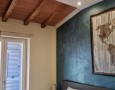 Pegasus - 