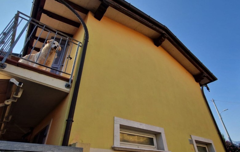 Agenzia Pegasus - 