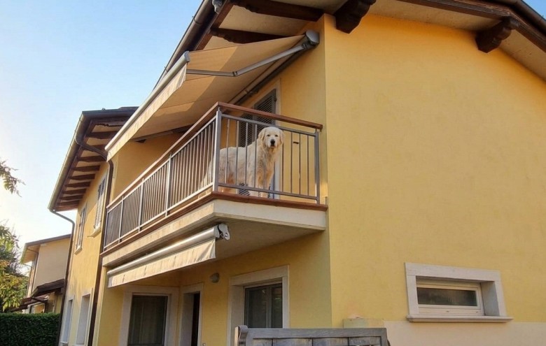 Agenzia Pegasus - 