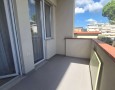 Pegasus - 