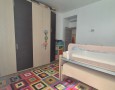 Pegasus - 