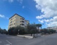 Pegasus - 